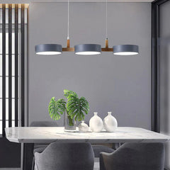 Hanglamp – Horizontaal ontwerp – Geschikt voor diverse interieurstijlen