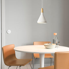 Scandinavische Hanglamp – Modern design – Geschikt voor verschillende interieurstijlen